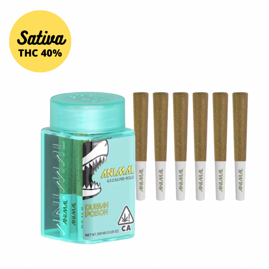 Animal Durban Poison Super Infused Preroll 6-Pack