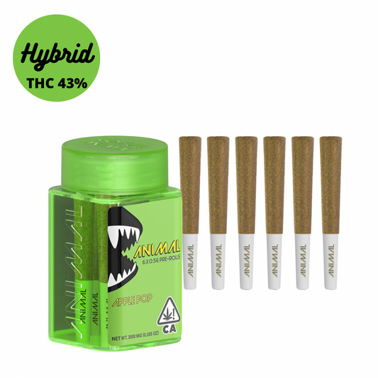 Animal Durban Apple Pop Infused Preroll 6-Pack