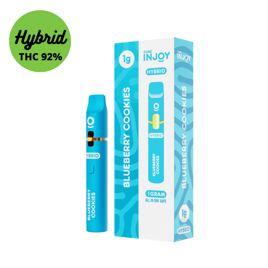 1GM Cureinjoy Blueberry Bliss Cookies Disposable Pen