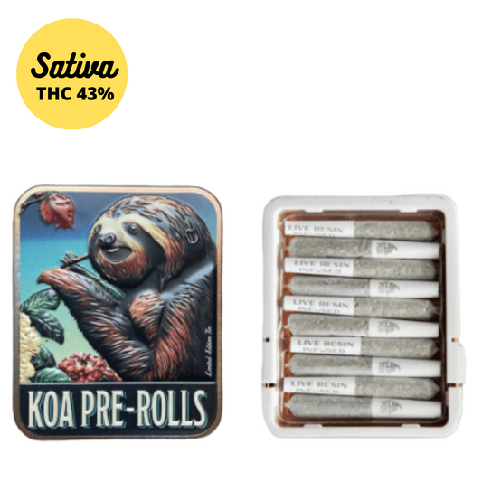 Koa Cannabis Co. Blue Dream Pinnacle 10-Pack Preroll